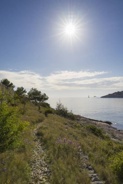 gün batımında ada doğasının manzara görünümü