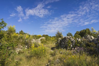gündüz ada doğasının manzara görünümü 