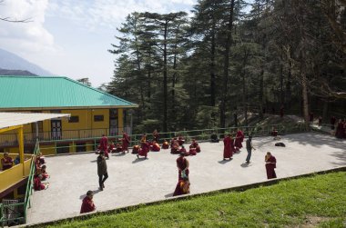 Budist rahipler gündüz eğitim kampında