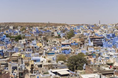 geleneksel mimarisi manzaralı mavi şehir Jodhpur, Hindistan