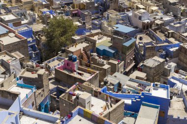 geleneksel mimarisi manzaralı mavi şehir Jodhpur, Hindistan