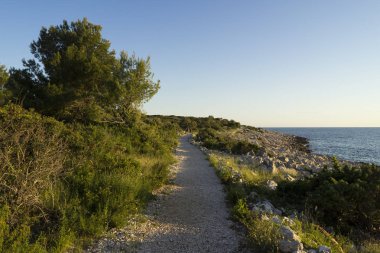 gündüz deniz boyunca boş yol 