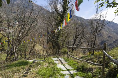 beautiful view of the park with stone stairs and trees