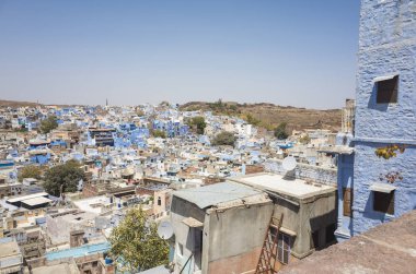 geleneksel mimarisi manzaralı mavi şehir Jodhpur, Hindistan