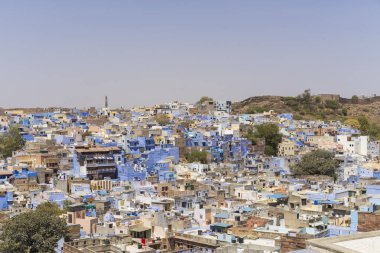 geleneksel mimarisi manzaralı mavi şehir Jodhpur, Hindistan