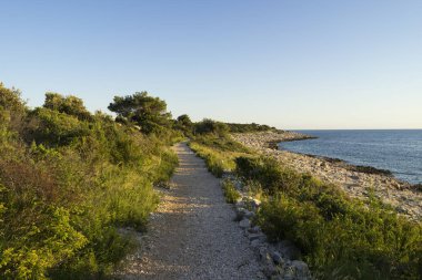 gündüz deniz boyunca boş yol 