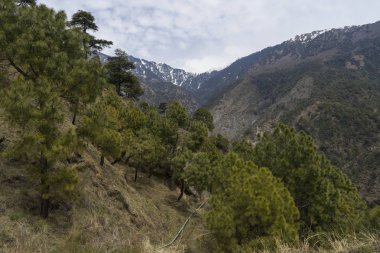 gündüz dağların doğal görünümü