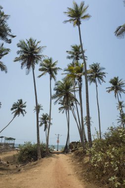 mavi gökyüzü arka plan üzerinde avuç içi ile okyanus kıyısı 