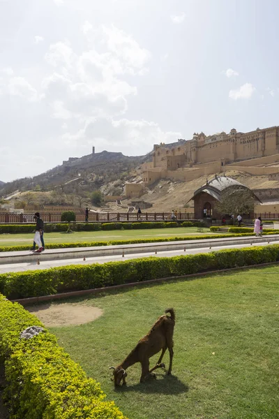 インド ジャイプールのアンバー砦建設の眺め — ストック写真