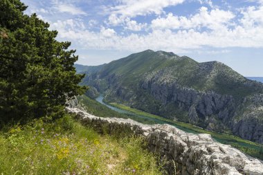 gündüz dağların içinden akan nehir görünümü 