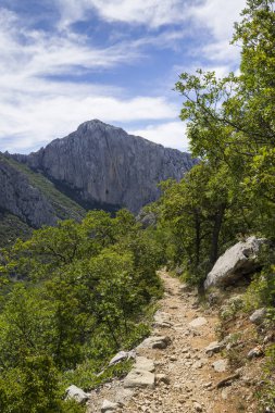 Gündüzleri kayalık dağın muhteşem manzarası