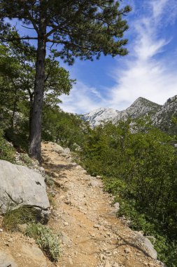Gündüzleri kayalık dağın muhteşem manzarası