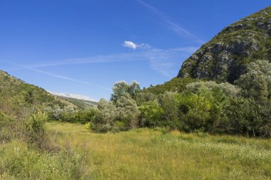 beautiful landscape with mountain in the background