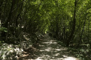 Dağlardaki güzel yol manzarası