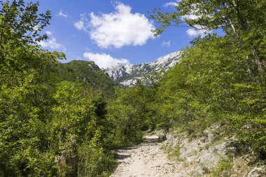 Gündüzleri kayalık dağın muhteşem manzarası