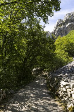 Dağlardaki güzel yol manzarası