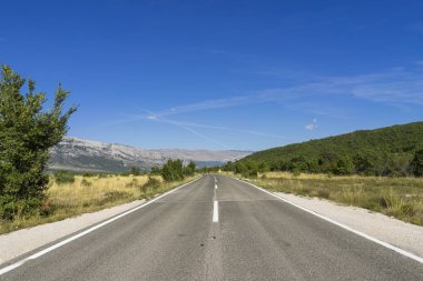 Kuzey Amerika 'nın kırsal kesimindeki tarlalardan geçen düz yol.