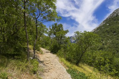 Gündüzleri kayalık dağın muhteşem manzarası