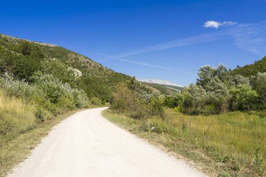 Hırvatistan 'da güzel güneşli bir yaz günü, güzel doğa ve manzaralı bir yol. Sakin, huzurlu ve açık havada mutlu bir resim..