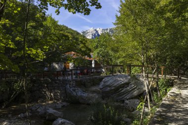 Starigrad Paklenica, Sibenik / Hırvatistan - 17 08 2019, Velebit Dağları 'nda güzel güneşli bir gün, ormandaki güzel küçük bir ev.