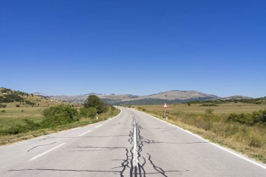 road through the field and trees