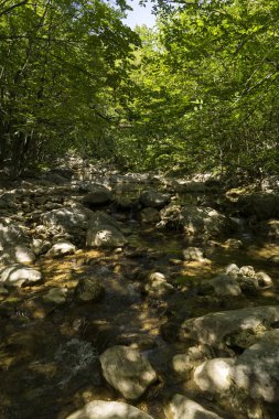 view of the rocky creak in the mountains