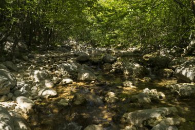 view of the rocky creak in the mountains