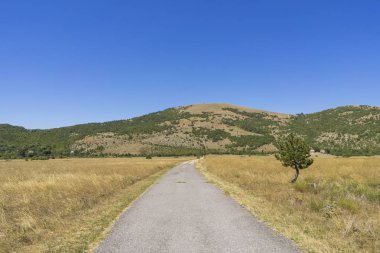 road through the field of dry grass.