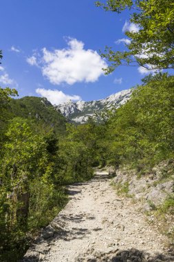 Gündüzleri kayalık dağın muhteşem manzarası