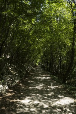 Dağlardaki güzel yol manzarası