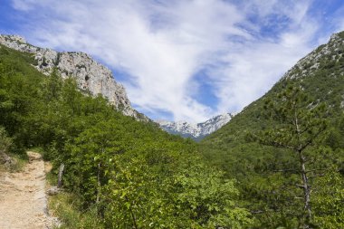Kayalık yeşil dağların güzel manzarası