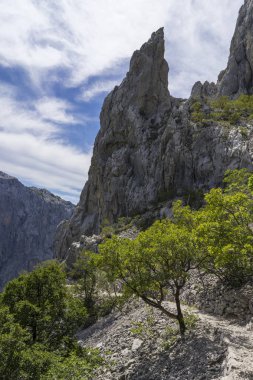 Gündüzleri kayalık dağın muhteşem manzarası