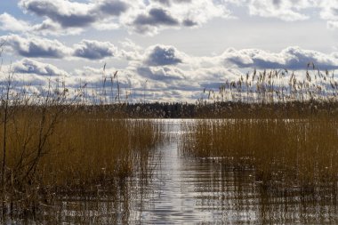 Gündüz gölün güzel manzarası