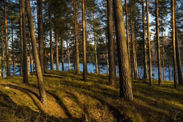 Beautiful View Lake Daytime — Foto Stock