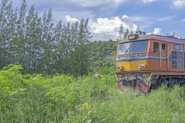 Eski Tren ormanın içinden koştu.