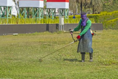 Çim biçme makineleri kullanan insanlar