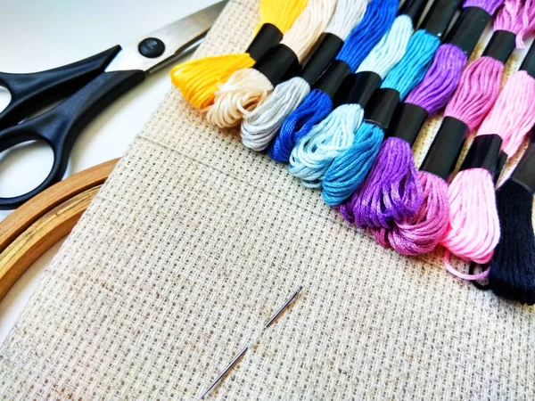 Canvas Needle Moulinet Threads Needlework — Stock Photo, Image
