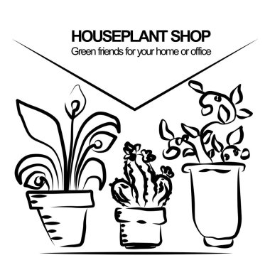Tencere blloming housplants ve kaktüs ile. Çizilmiş vektör çizim el