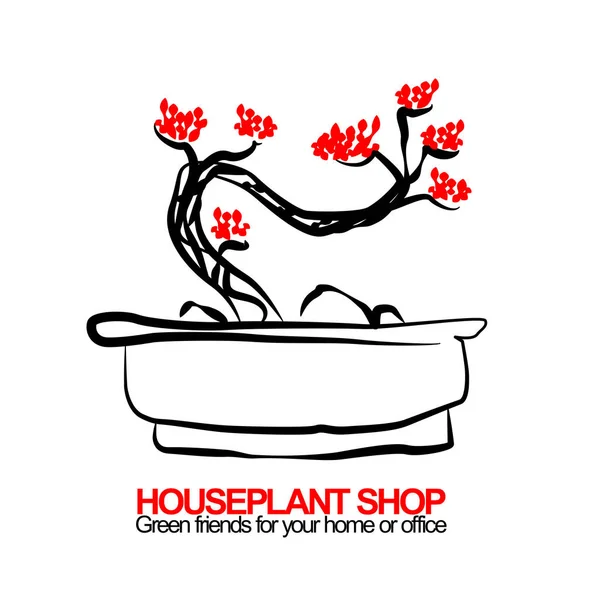 bonsai housplant dükkanı için vektör çizim
