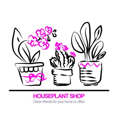 Şirin tencere ile blloming housplants ve kaktüs. Çizilmiş vektör çizim el