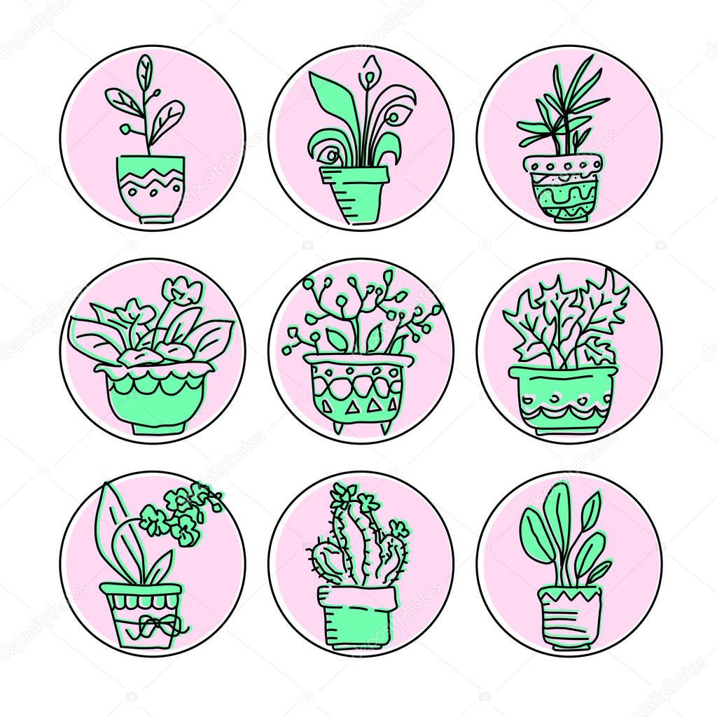 Bright vector icon set of housplants in pots. Green flowers and pots on pink baground for web design 