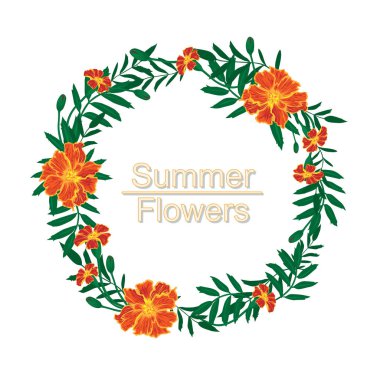 Kadife çiçeği illüstrasyon