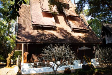 Kara Tapınak, Chiang Rai, Tayland