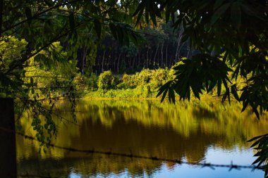 Chiang Rai şehir bölgesi ve mimarisi, Tayland 