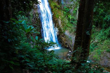 Yeşil yaz parkında şelale, Tayland 