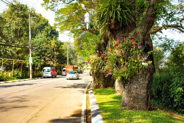 Chiang Rai Território Cidade Tailândia — Fotografia de Stock