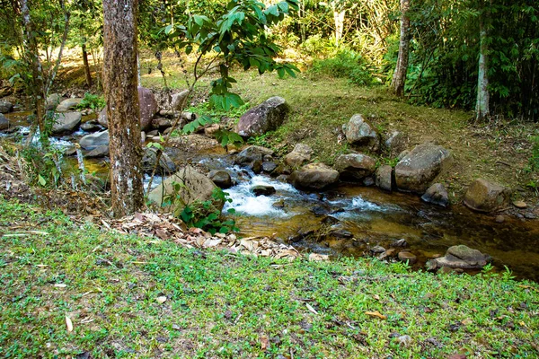 Cascada Verde Parque Verano Tailandia —  Fotos de Stock