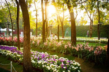 Çiçeklerin resmi, çiçeklerin konsepti 