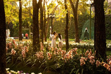 Çiçeklerin resmi, çiçeklerin konsepti 