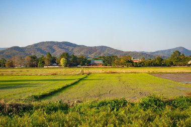 Tayland, Chiang Rai 'deki Beyaz Tapınak Bölgesi 